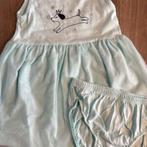 Vestido e calcinha azul claro dog
