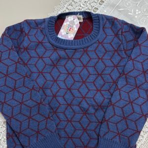 Blusa de Lã Azul e Bordô
