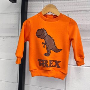 Blusa de Moletom Laranja Dino